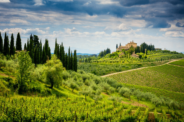 Siena and Surroundings